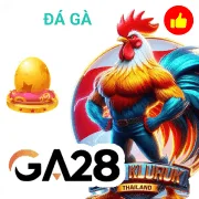 tip88 Game 05